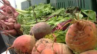 Advantages of going to your local farmers' market