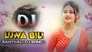 LOWA BILI 🍒 || NEW SANTHALI DJ VIDEO SONG 2025 || SIMON MURMU