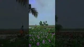 COME TO KERALA ❤️