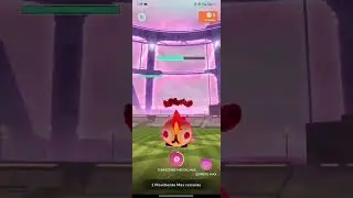 Solo Falinks