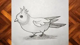How to draw a Parrot || Simple and Easy Pencil sketch || Best drawing step by step~ 