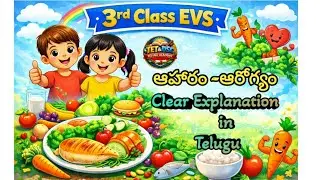 EVS లో స్కోర్ పెంచే చాప్టర్|ఆహార–ఆరోగ్యం|3rd Class EVS Most Important Chapter| Food& Health |TET&DSC