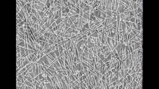 Actin Nanomotors