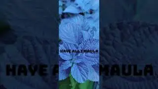 Haye Haye re To Chehera( Human Sagar) Romantic Song