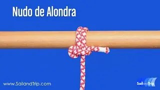 Nudo de Alondra
