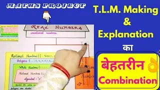 🎯real numbers maths tlm working project model for exhibition - maths tlm model - Class 9/10 - DIY