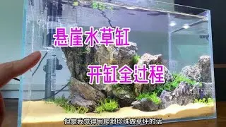 做个悬崖造景的水草缸   又简单 又生态  还特别好打理😏#水草造景 #水草缸造景 #森林草缸造景