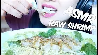 ASMR Fresh RAW SHRIMP (Eating Sounds) No Talking กุ้งแช่น้ำปลา น้ำจิ้มซีฟู้ด | SAS-ASMR