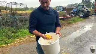 Tips van Jan-Willem voor een succesvolle maïskuil