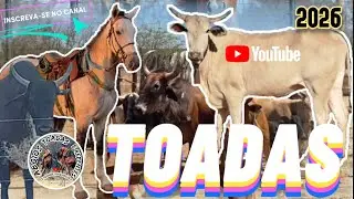 Toadas Vaqueiros Gado Brabo , Festa do Gib&atilde;o Recorda&ccedil;&otilde;es - Aboios Toadas e Repentes 