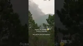 Summer has started!😥#wildfire #wildfires #wildfireseason #summer #portugal #portugal🇵🇹  #offgrid