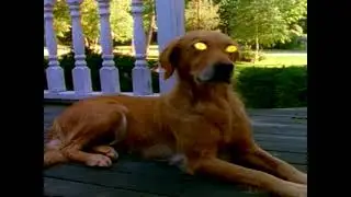 nympholept - spookyposting