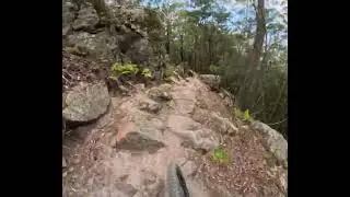 POV run down Awaba dh monkey