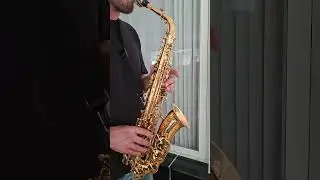 Yanagisawa A-WO10