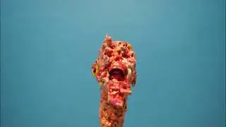 Melting face test blue screen