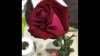 040658
