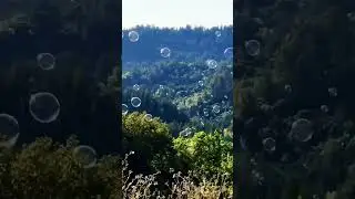 Beautiful Bubbles over Mountains feat. Porcelain
