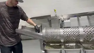 Bud Sorter