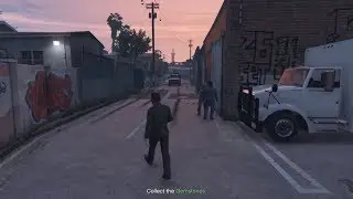 GTA V - a sunset alley ambush near Grove Street - WAYNE GROW INDUSTRIES RP LP 84