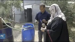 Ingenious Gazan engineers produce wood vinegar against soil problems