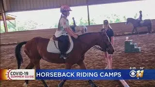 Equestrian Center Offering Horseback Riding Summer Camps