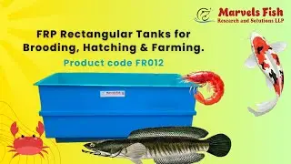 FRP Rectangular Tanks for Brooding, Hatching & Farming | Marvels Fish FRP Tanks
