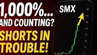 SMX Ignites Low-Float Frenzy Amid High Borrow Fees, Rates & Volume