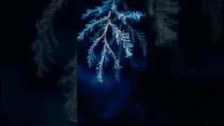 Немецкий после Нового года 🎆Утренние фразы 1 января  #sprachschule