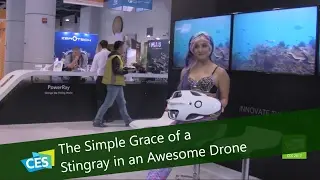 The Simple Grace of a Stingray in an Awesome Drone at CES 2017