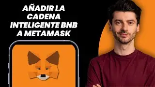 c&oacute;mo agregar BNB Smart Chain a Metamask