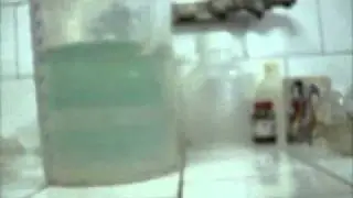 Conservation in vitro on double phase media