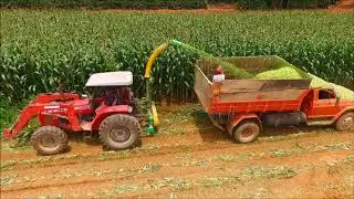 21-Drone em ação: Produção de silagem-Fazenda Djanira