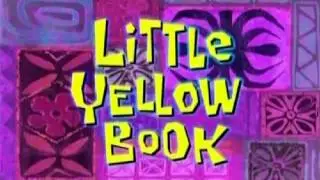 Little Yellow Book Review