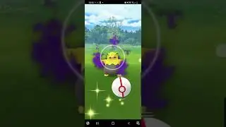 Pokemon Go ULTRA RARE SHADOW DROWZEE 💥