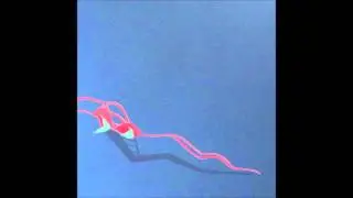 Sail Into Night - 'Parade'
