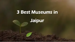 3 Best Museums in Jaipur, Rajasthan 2025 | Museums