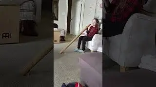 Didgeridoo Ari never had one lesson