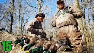 INCREDIBLE Public Land Duck Hunt in the Timber (Mallards in Our Face!!)