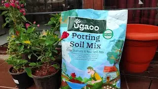 Best soil for plants|Ugaoo Organic Potting Garden Soil Mix for Plants |Ugaoo potting soil mix review