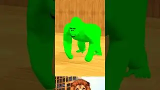 Long Slide Game With Elephant Gorilla Buffalo Hippopotamus Tiger  3d animals game