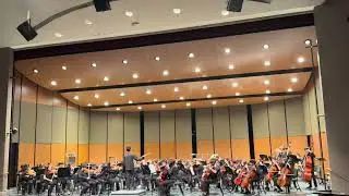 Nischu Viola concert at her school,#concert #schoolconcert #viol&atilde;o #musicaltheatre#schooldays#learn