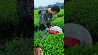 Инструменты или #инструменты #умнаяработа