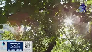 Korunka Božieho milosrdenstva a Krížová cesta z Lagiewnikov