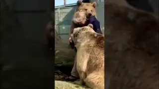 Animal show love to humans. #shorts#animall#love#human#feelings