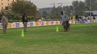 💥FIGURE OF 8 (heel work) 🔥COMPITITION 💪 WORK #viral #viralvideo #shortsvideo #shortsfeed 