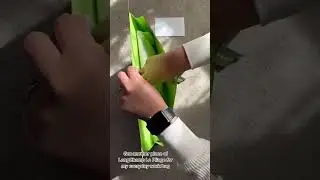 Unboxing LongChamp Le Pliage #longchamp #unboxing #lepliage