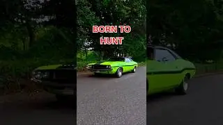 1970 Dodge Challenger #Mopar #DodgeChallenger #MoparOrNoCar #v8 #musclecars #moparmuscle