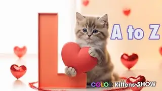 🐱 Песенка про алфавит с милыми котятами! Изучаем алфавит от А до Я.