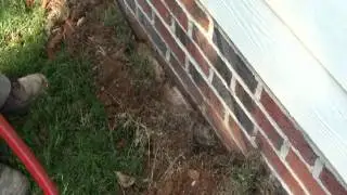 Termite Treatment