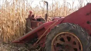 Farmall F-20 & McCormick 2 ME picking corn, Oct. 2016